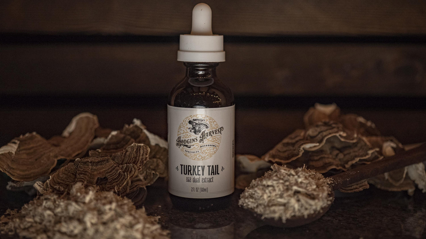 Turkey Tail Dual Extract Tincture