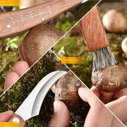 All-in-one Mushroom Knife