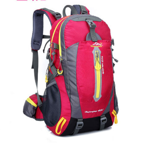 High Quality Forager Backpack